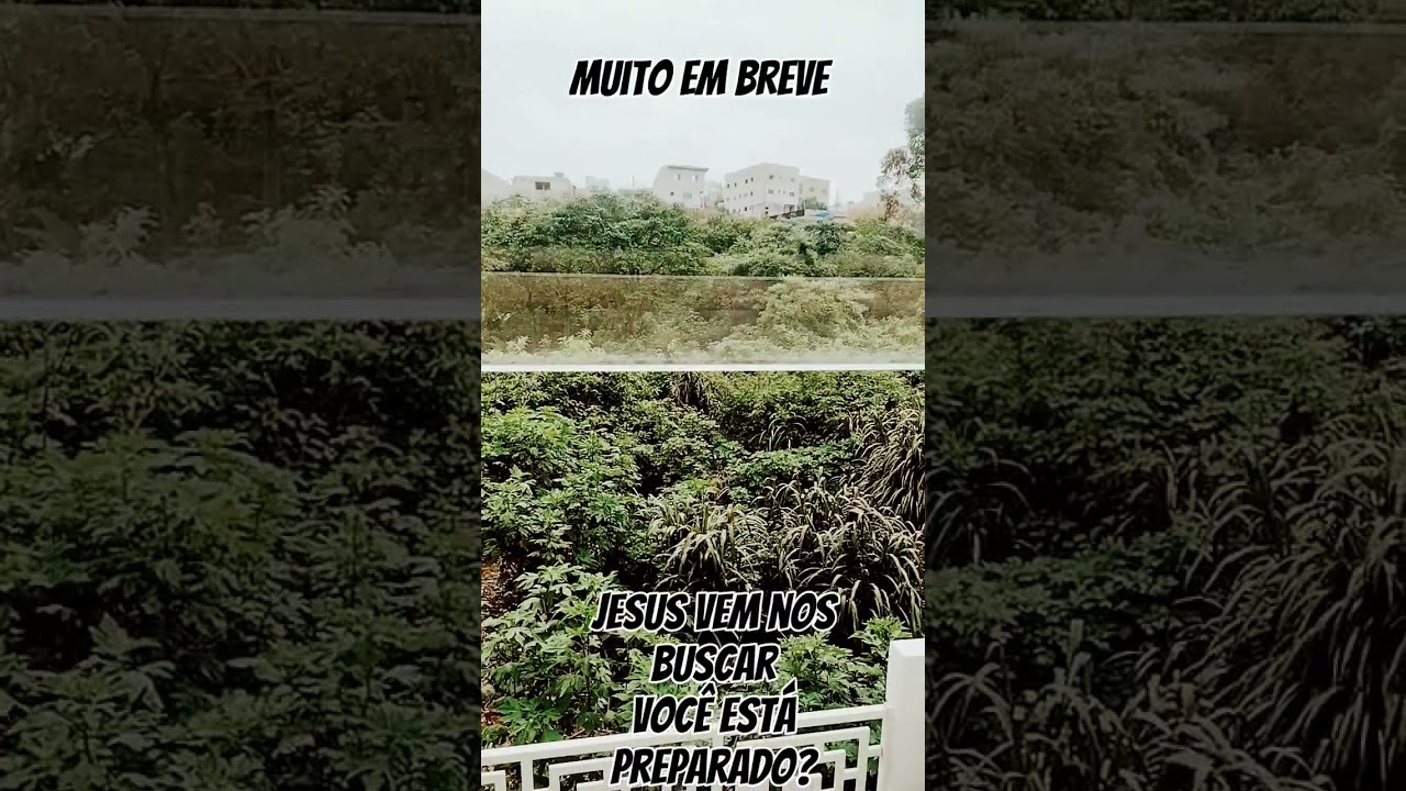 12 de outubro de 2023