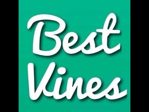 12 HOUR VINE COMPILATION