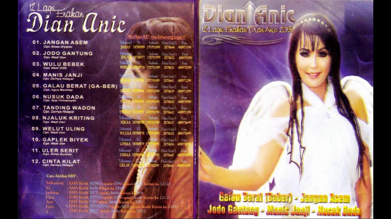 12 Lagu Enakan Dian Anic 2013 Full Album