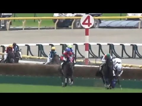 東京ジャンプステークス　1着ジューンベロシティ号（高田潤騎手）※最終障害でホッコーメヴィウス号（難波剛健騎手）が落馬　2025年6月14日（土）東京競馬場