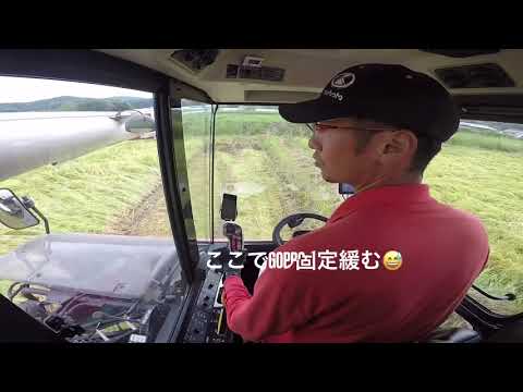 1/3 稲刈り　AG 6114R 倒伏した稲を刈るよ　yammer コンバイン