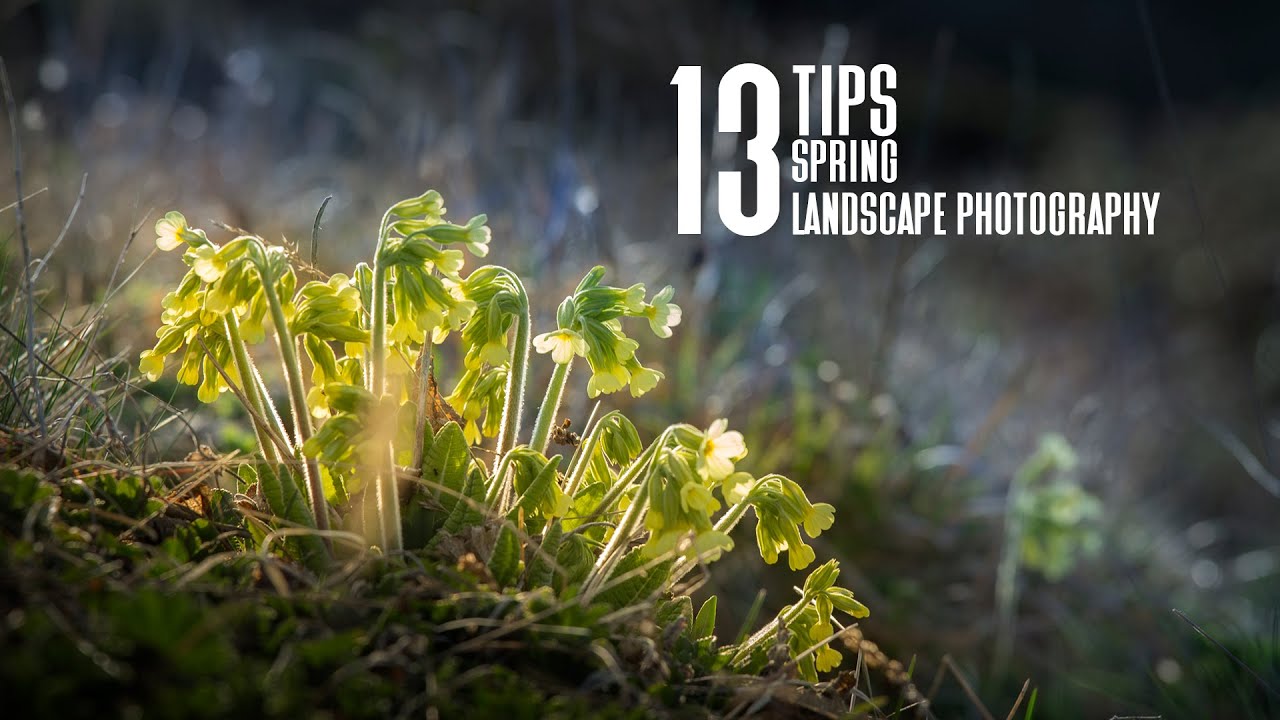 13 Tips and Ideas for better Spring Landscape Photography