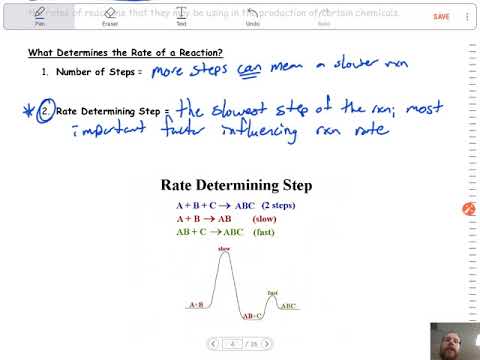 13.1 Reaction Process