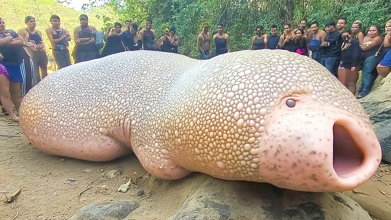 14 Abnormally Large Animals That Actually Exist