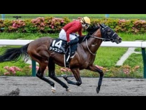 小金井特別　ダ1400m (左)　ジャスリー　牡4　58.0　丹内祐次　2024.6.2　　出走馬：ヴァンドーム、バルミュゼット、ミエノナイスガイ、カンパニョーラ、エヴィダンシア、ロイヤルダンス他