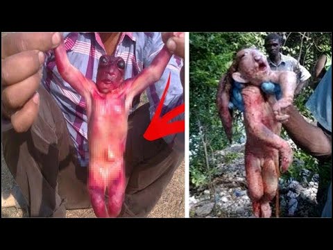 15 Duendes Reales Captados En Video