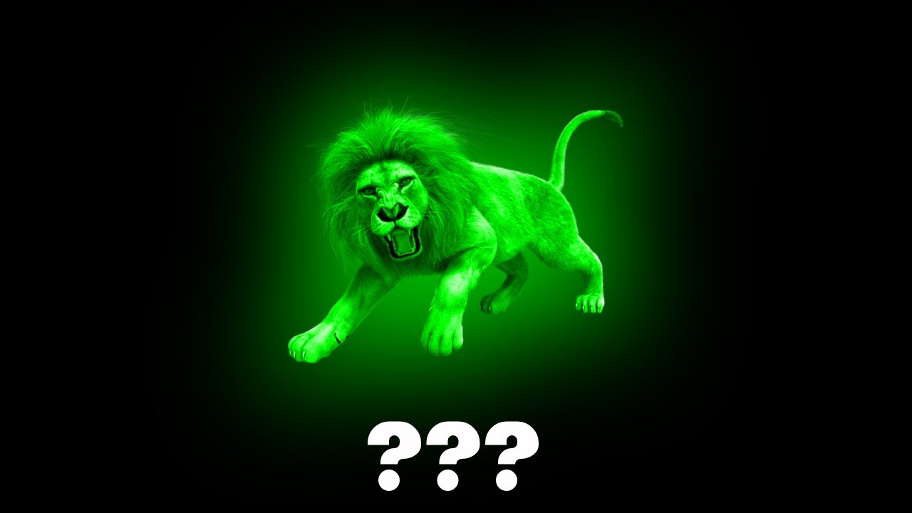 15 Lion 