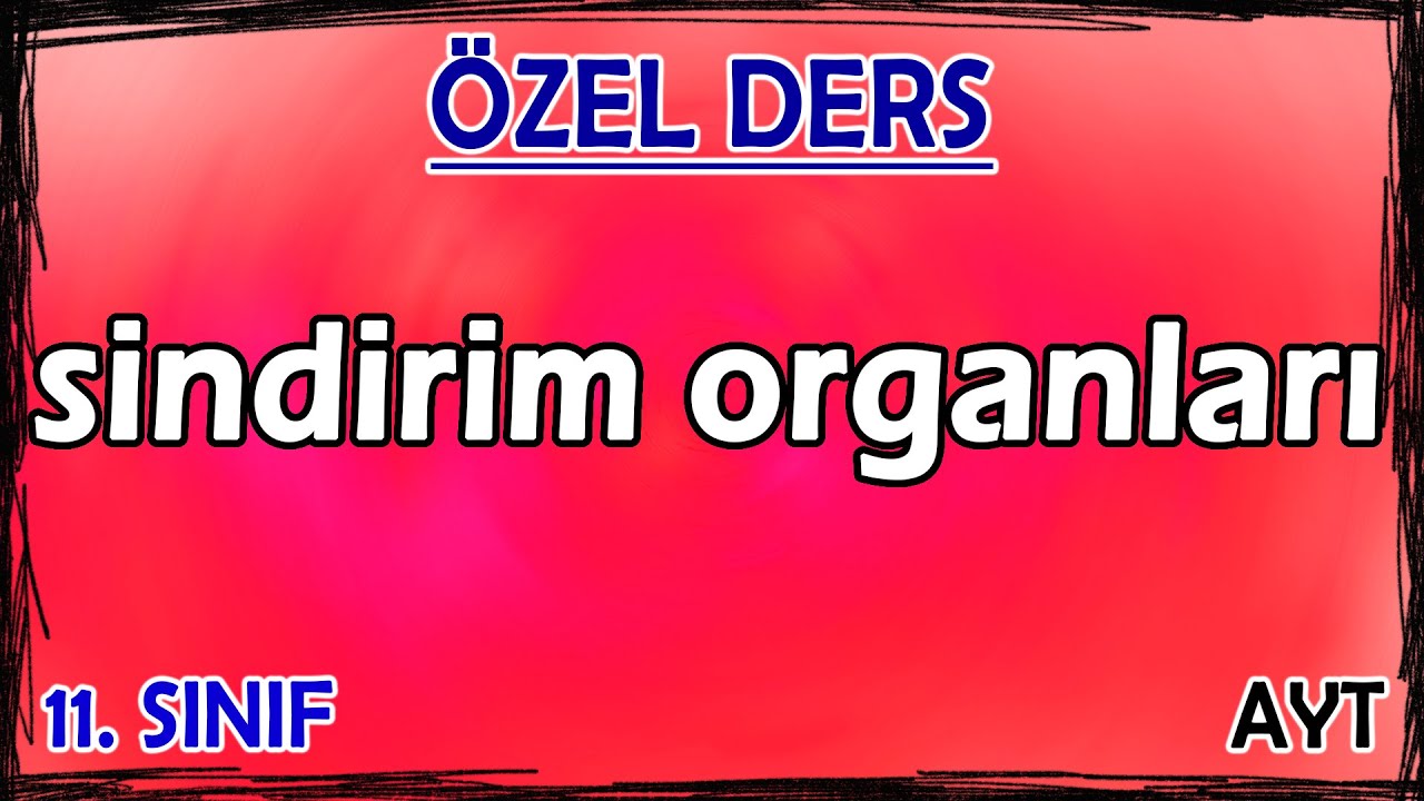 16) Sindirim Sistemi 1 - Sindirim Organları - Özel Ders (11. Sınıf)