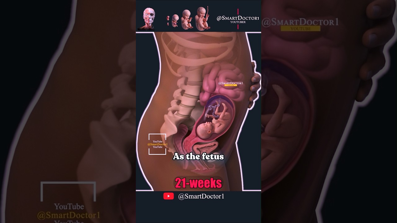 19 Seconds of Amazement: Incredible Fetal Development.💞