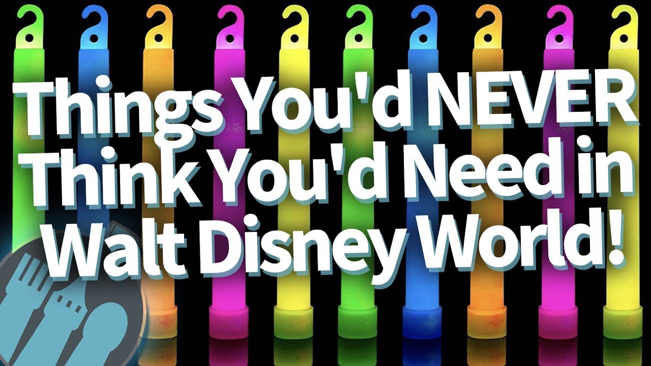 19 Things You NEVER Thought You'd Need in Disney World...But You DO!