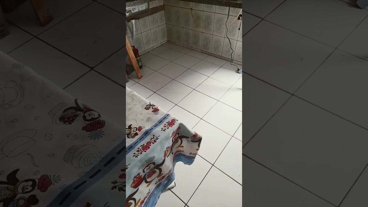 2 de setembro de 2023