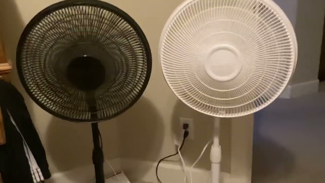 2 Lasko pedestal fans (White Black)￼