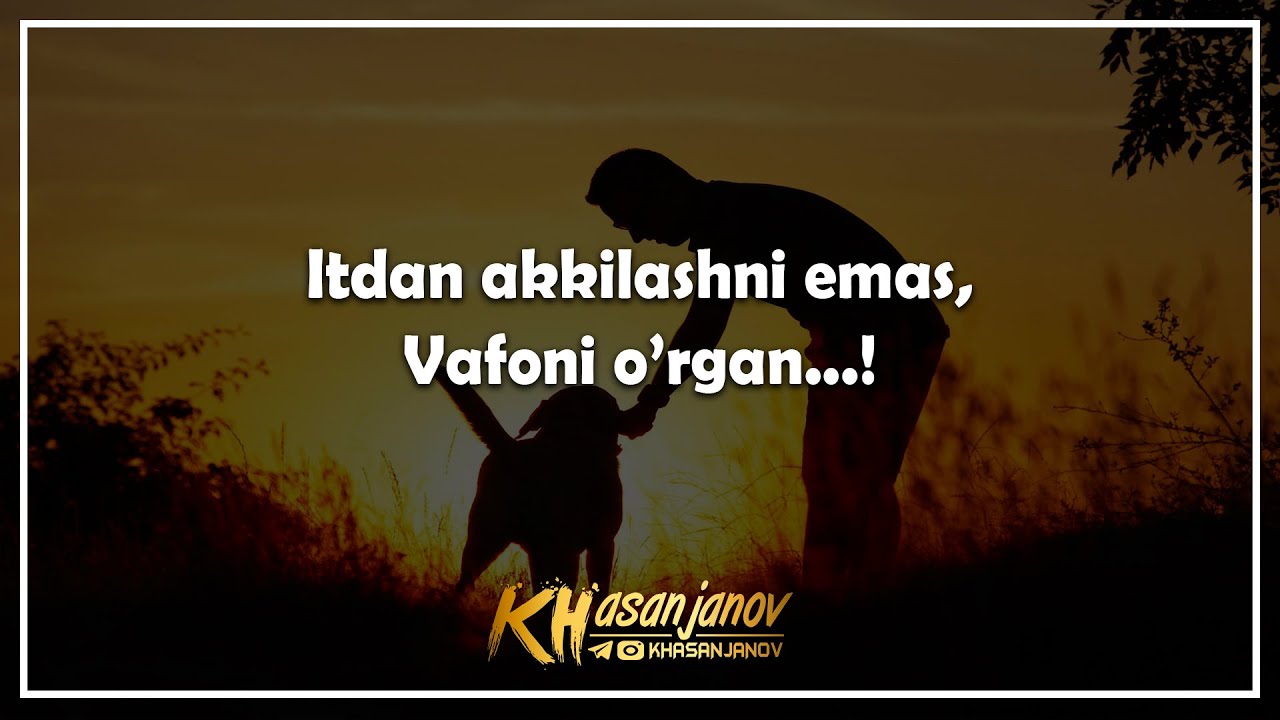 #2 STATUSLAR VA AFORIZMLAR / Dilga Yaqin / СТАТУСЛАР ВА АФОРИЗМЛАР / Дилга Якин