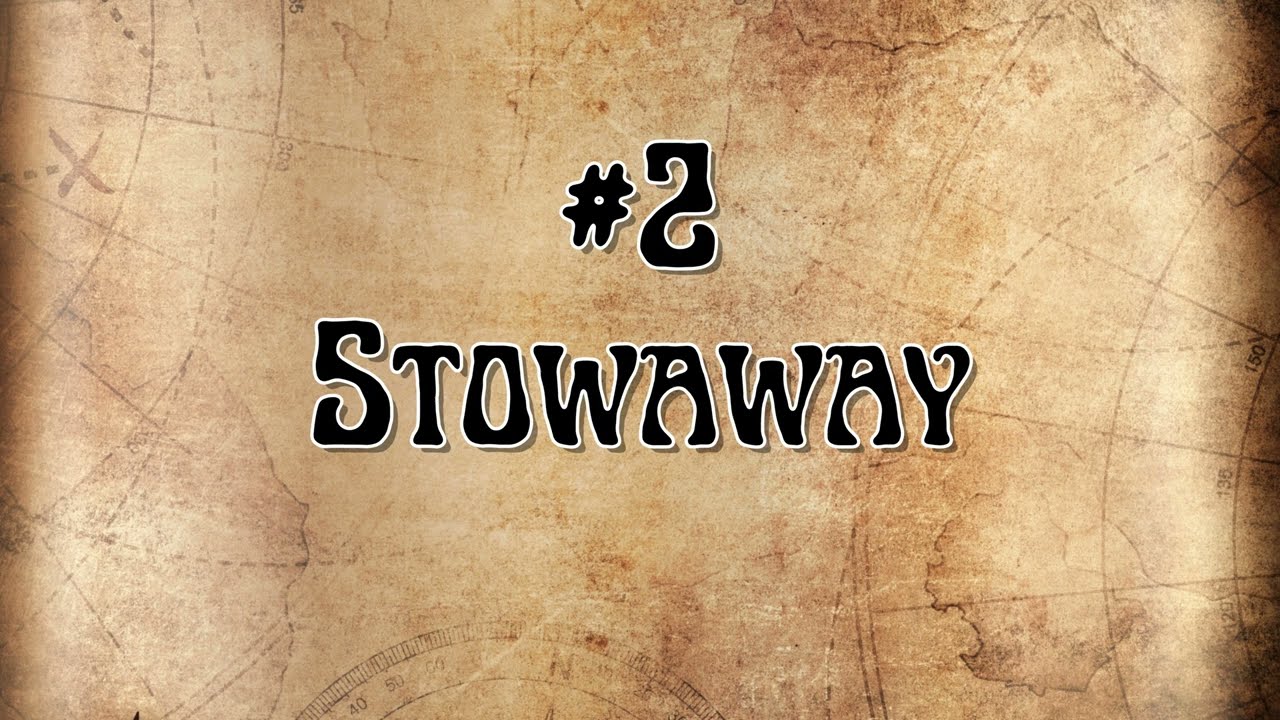 #2: Stowaway
