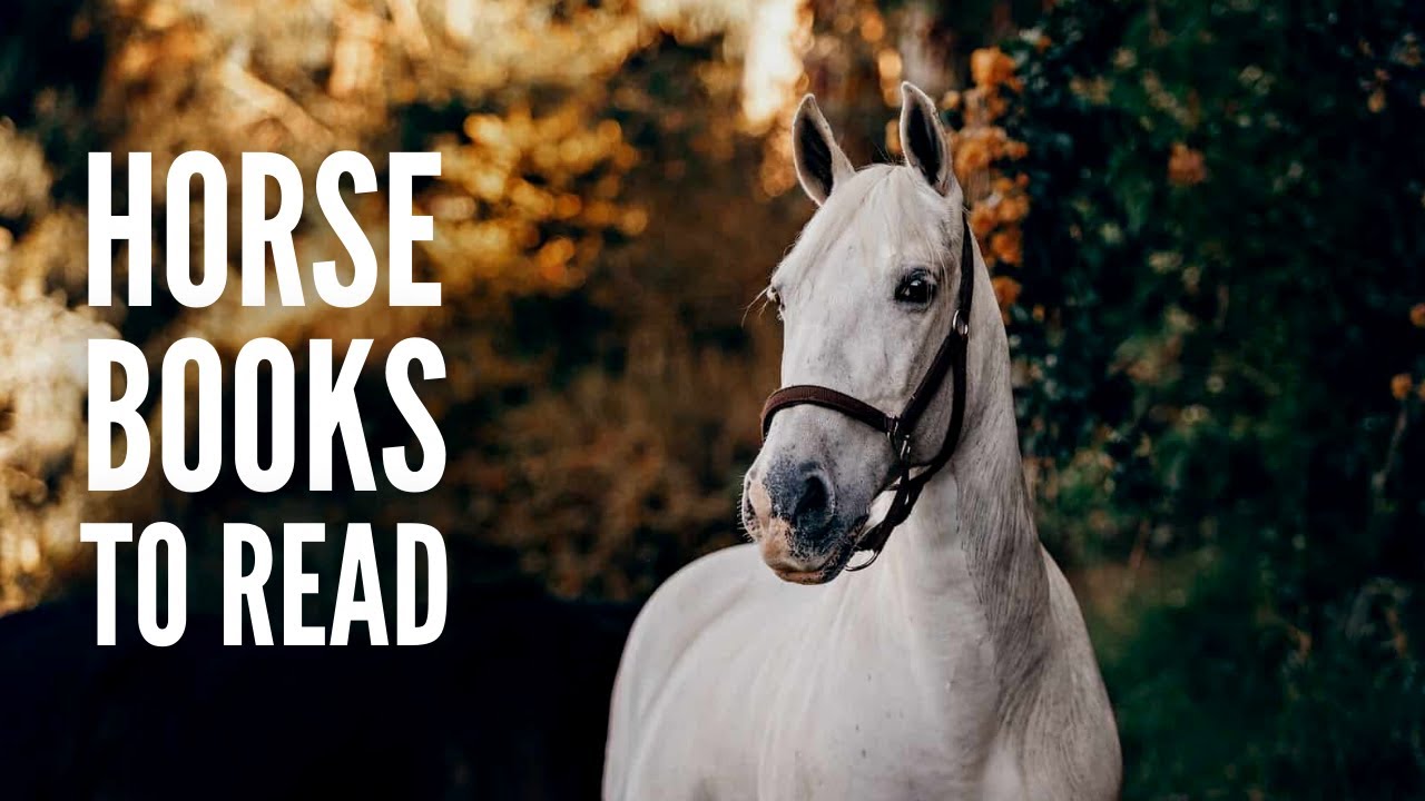 20 Best Horse Books Everyone Should Read