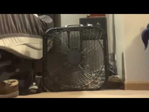 20” Black Lasko box fan (2 of 2) (Musical Edition)
