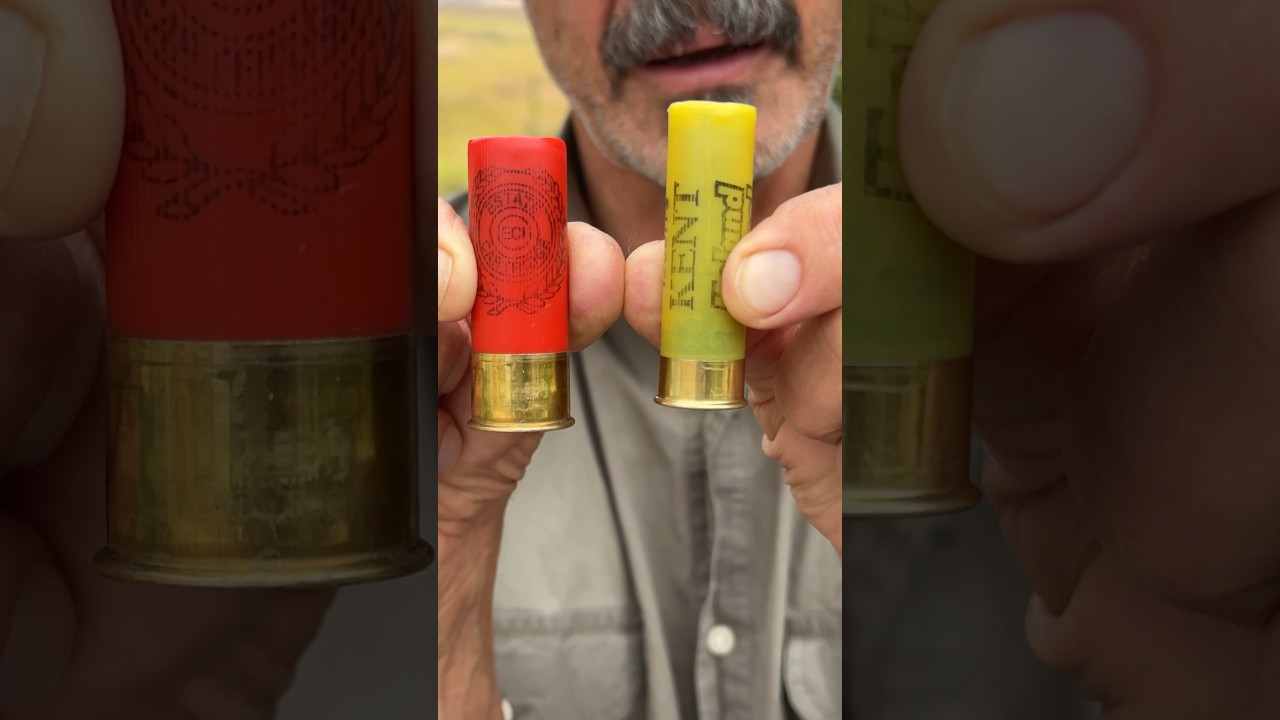 20 Ga. Better Than 12 Ga.