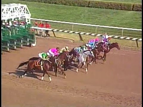 2001 Go For Wand Handicap