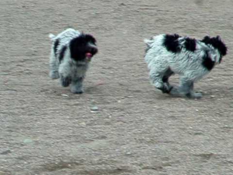2009 0620 Image 0119
