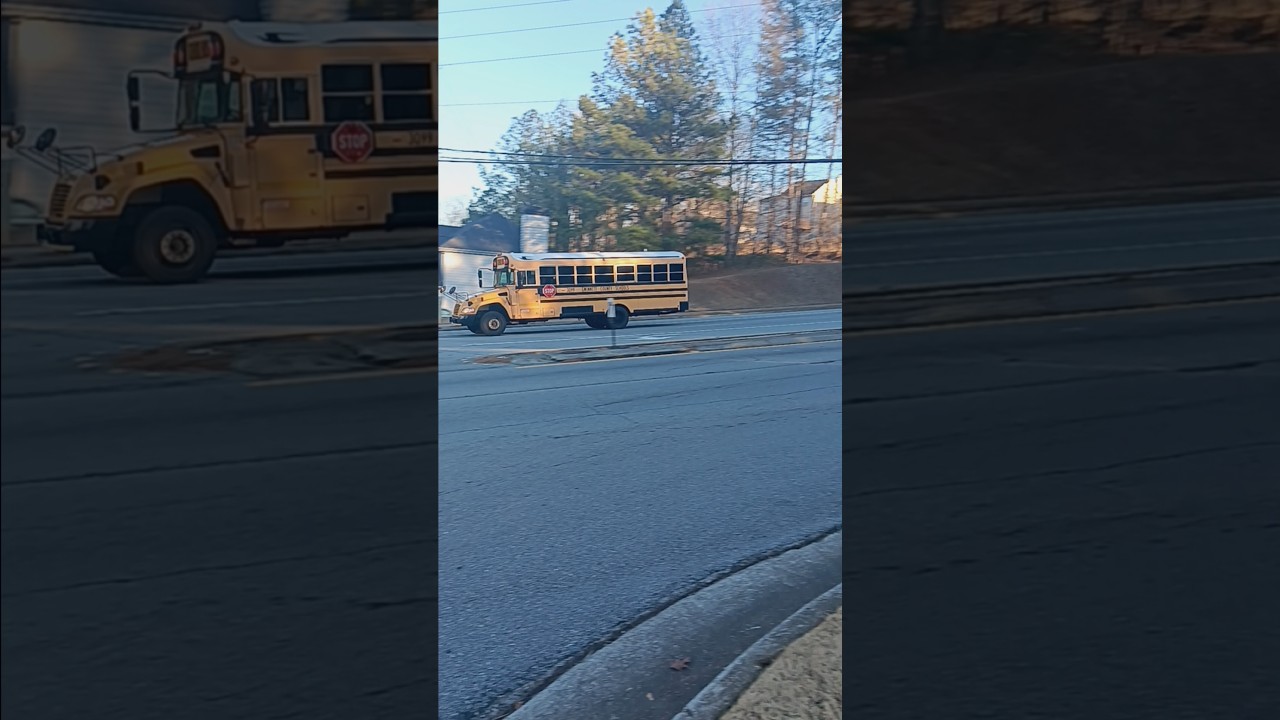 2010 Bluebird Vision Handicap ♿️ Bus 3099(Remastered)