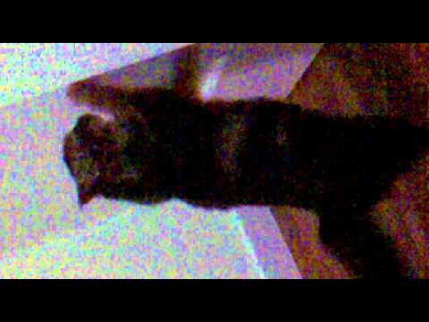 20122010015.mp4