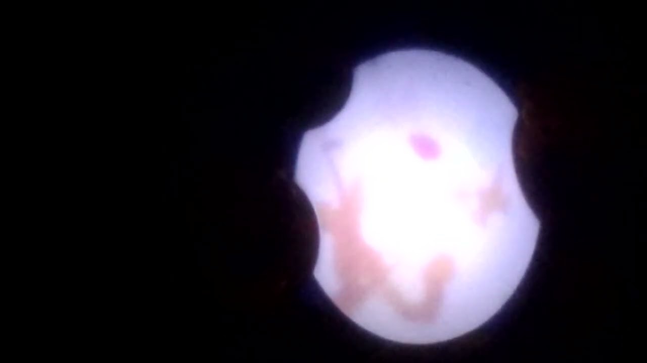 2015 tomy Winnie the Pooh sweet dreams lightshow part 1 daytime without auto setting