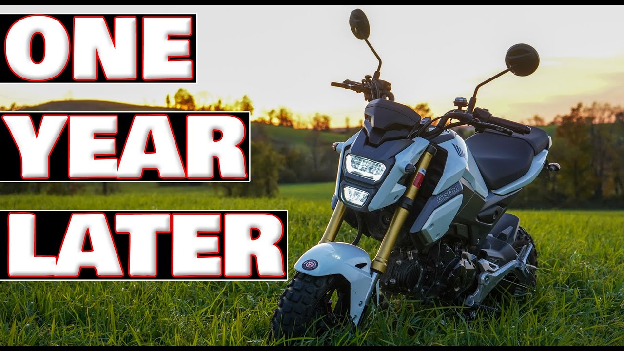2018 Honda Grom - One Year Later Review