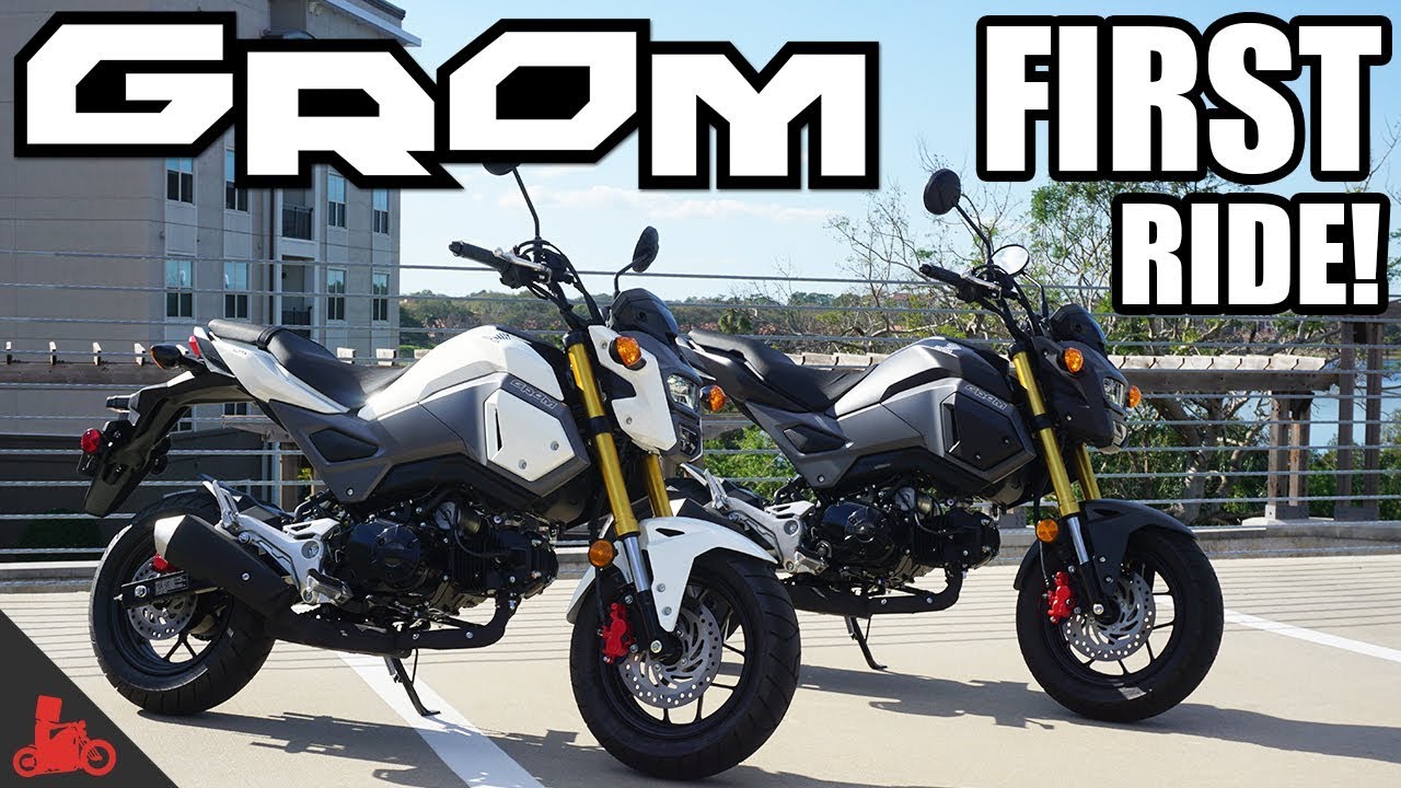 2018 Honda Grom FIRST Ride!