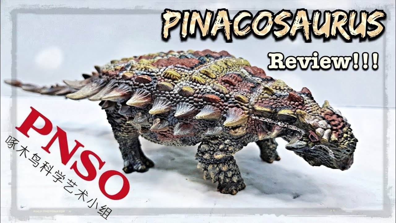 2020 PNSO Pinacosaurus Review!!!