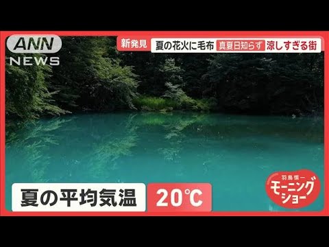 「天国です」夏の平均気温“20℃”真夏日知らず　夏でも長袖…涼しすぎる福島・裏磐梯【羽鳥慎一モーニングショー】(2024年7月24日)
