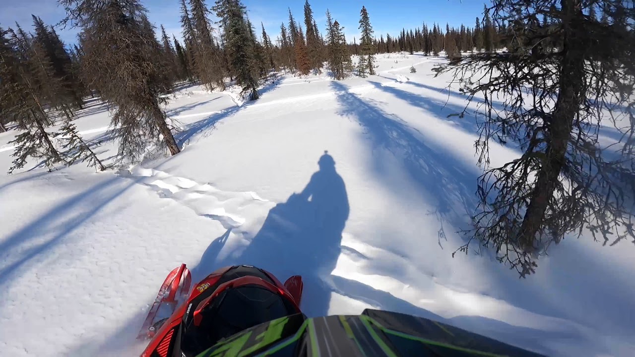 2022 Boondocker 3900 lynx Alaska