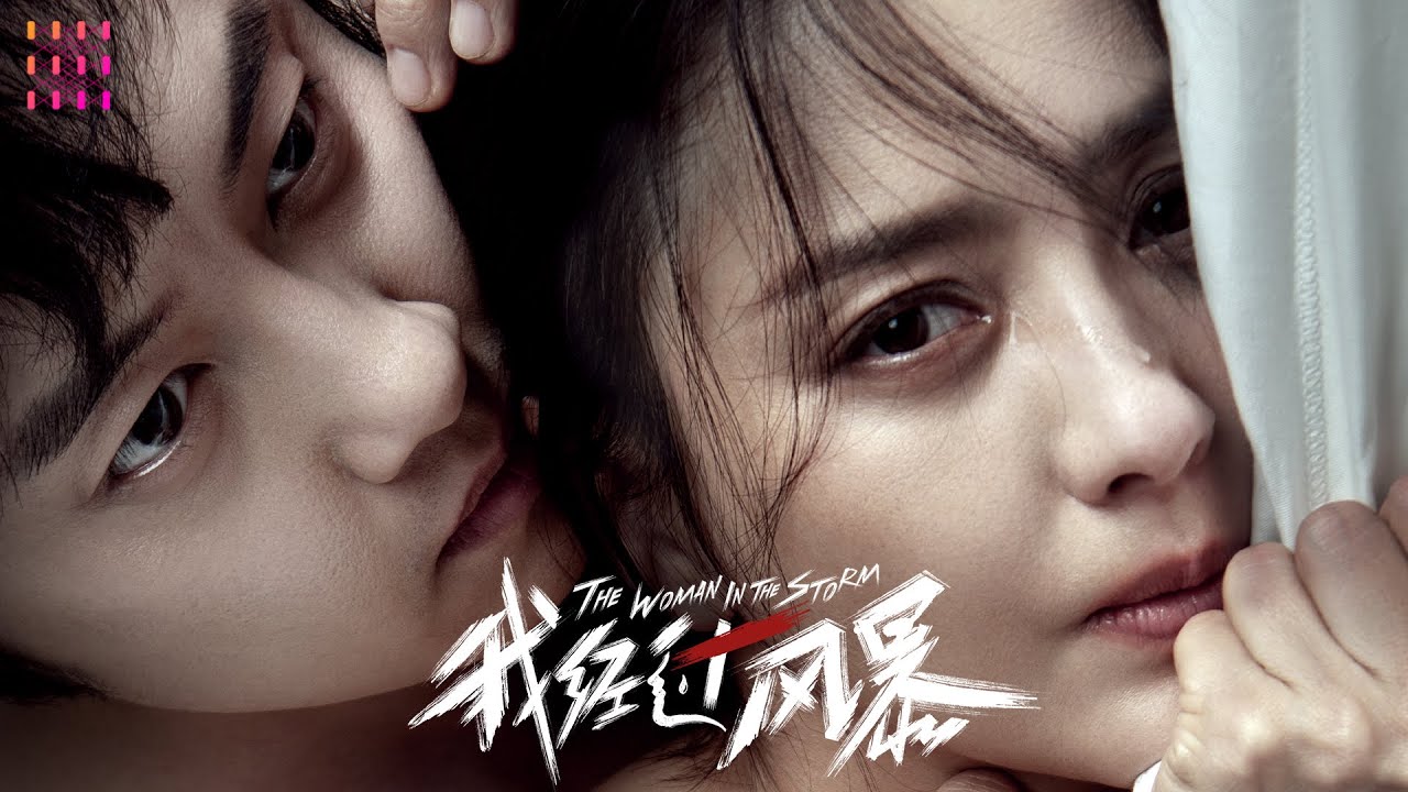 【🔥2024悬疑剧情】《#我经过风暴 / The Woman in the Storm》女人婚后遭长期家暴，她要绝地反击却困难重重【捷成华视华语影院】