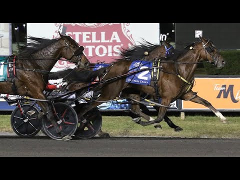 2024 Breeders Crown 3YOF Pace The Meadowlands : My Girl E J (1:49:3)