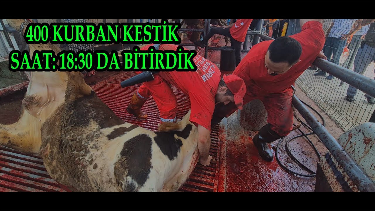2025 KURBAN BAYRAMI - 2.BÖLÜM - KESİM VİDEOLARI