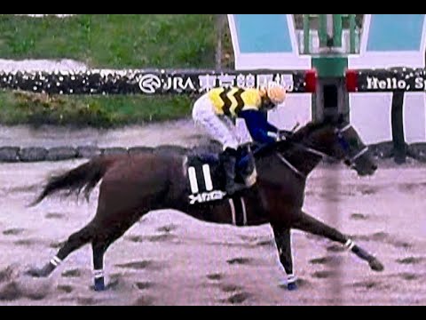20250608 競馬ﾚｰｽﾄﾋﾟｯｸ　11【3着ブ－ビ－人気!!】'25小金井特別 D1600 10下 ゴ－ルデンオスカー