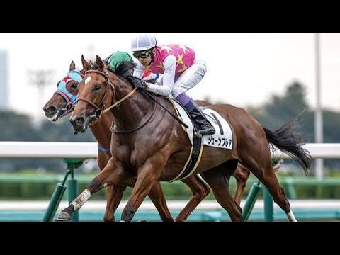 2歳新馬　芝1200m (右 外 C) 　ジューンブレア　牝2　55.0　武豊　2023.10.1　　出走馬：フィオライア、シャインヴィーナス、マサノヒーロー、マジカルステップ、ココモローズ他