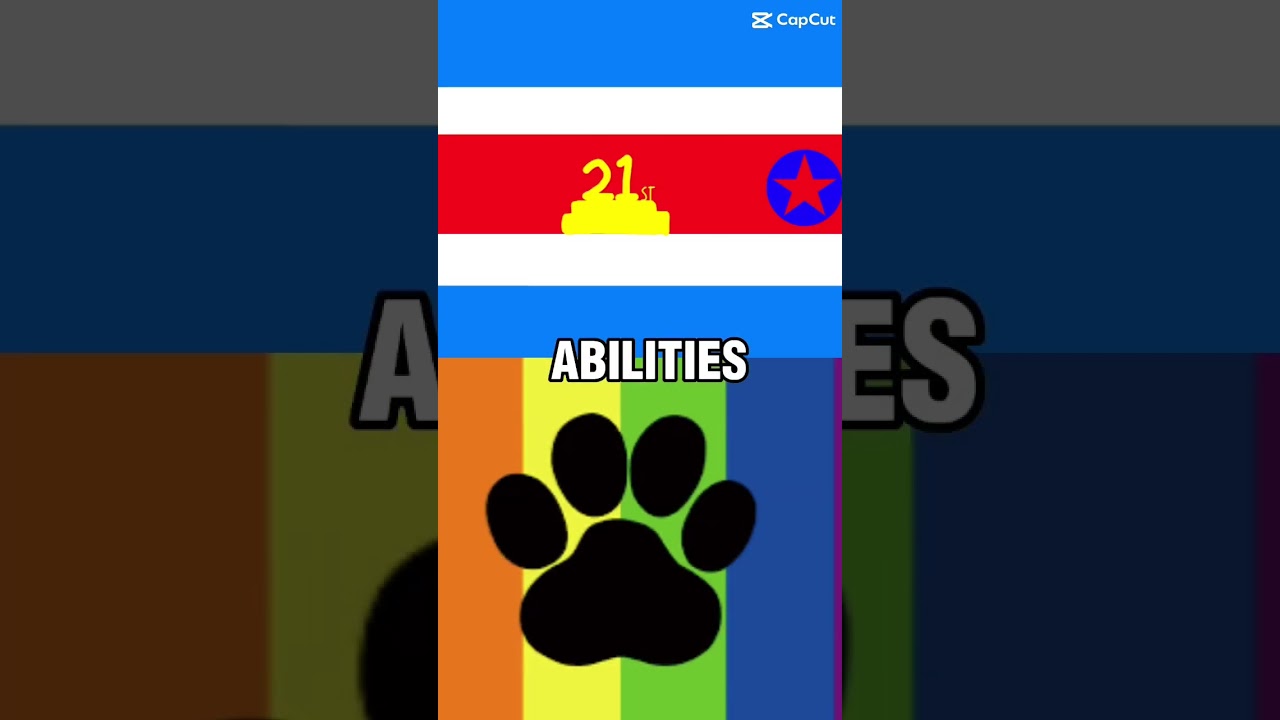21st Century Samsam Magan (Flags) Vs Furry (Flags) |#anitfurry #furry #flags #21stcenturysamsammagan