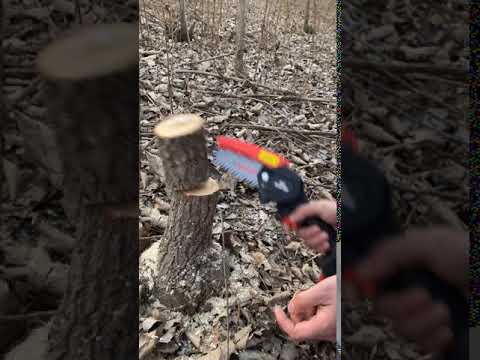 21V Mini Cordless Chainsaw 4-Inch Electric Brushless Pruning Saw 2.0A Rechargeable Lithium Battery