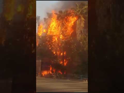 22 March 2024 Fire in Hospital Area