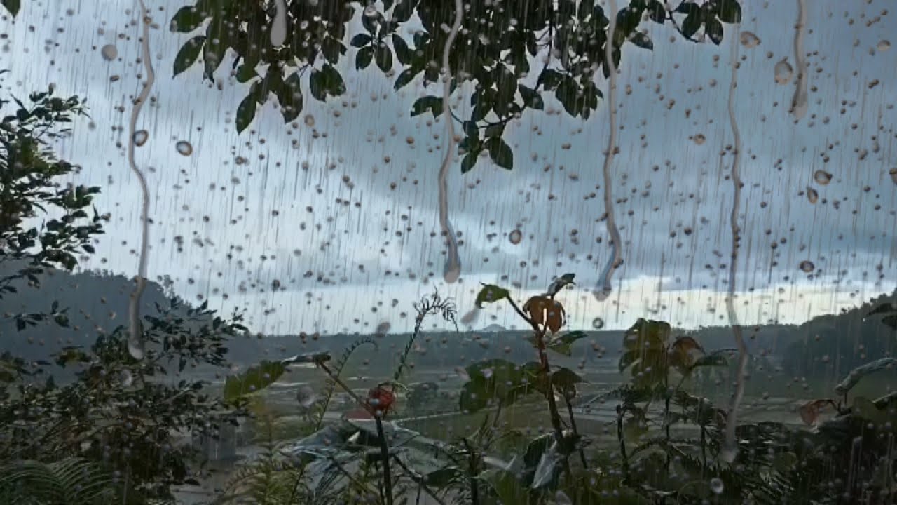 24 jam suara hujan dan alam (tanpa iklan) || 24 hours ambient nature and rain sound (No Ads)