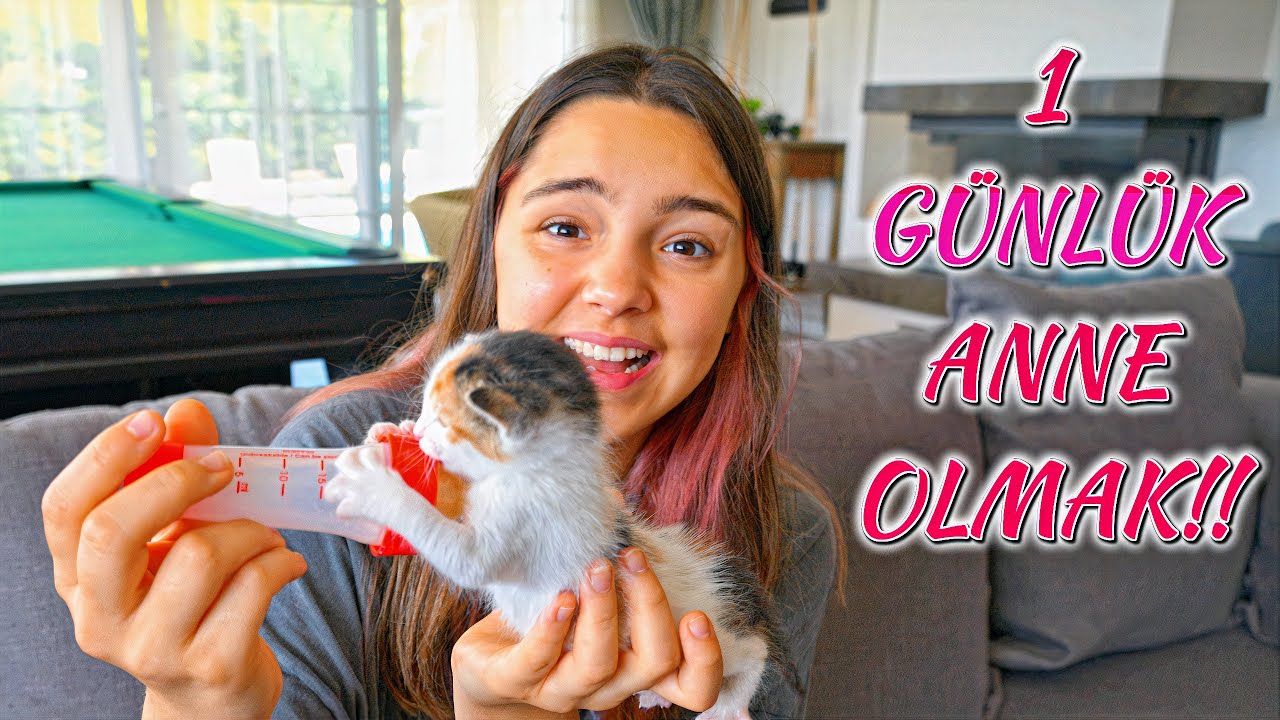24 SAAT BOYUNCA ANNE OLDUM! YAVRU KEDİLERE BAKTIM