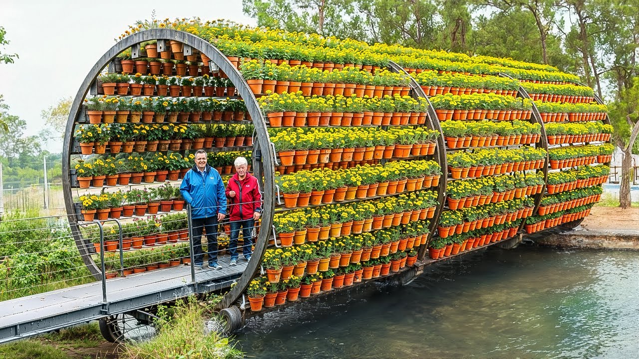 25 AMAZING FARMS YOU HAVEN'T SEEN BEFORE