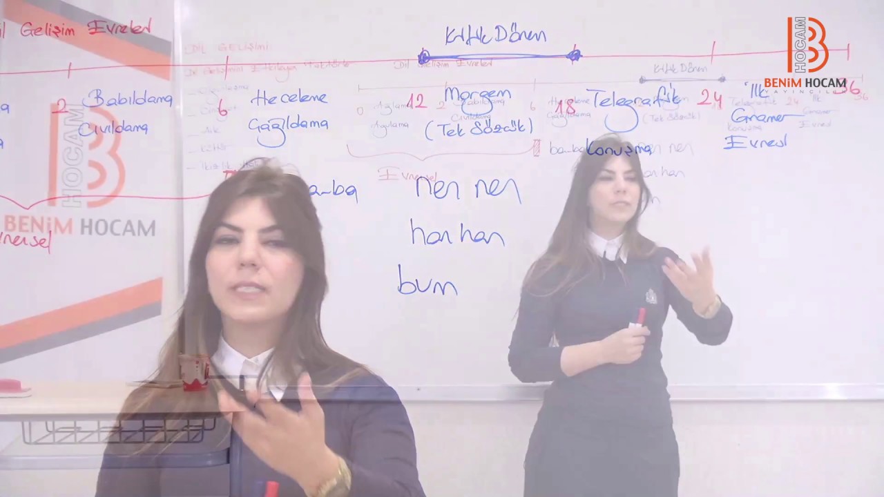 25) Dil Gelişimi - Gelişim Psikolojisi Dersi - Ayşegül Aldemir (2017)