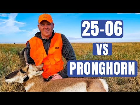 25-06 Remington vs Pronghorn
