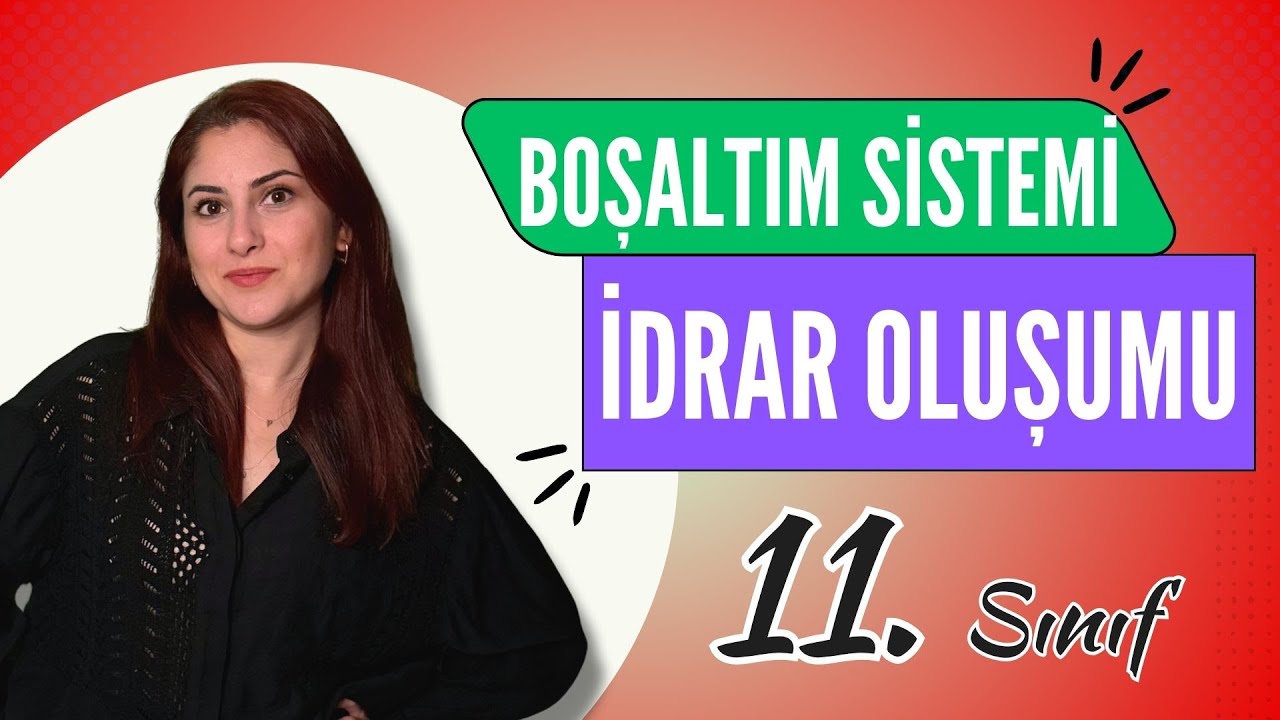 27) BOŞALTIM SİSTEMİ 3 - İDRAR OLUŞUMU | 11. SINIF | AYT BİYOLOJİ DERS NOTLARI 2024