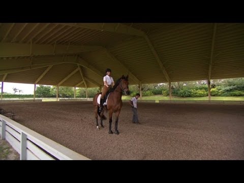 $27 million for this luxury horse farm