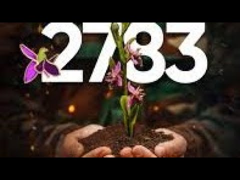 27 SENTYABR ANIM GÜNÜ.ŞƏHİDLƏR 🥀🥀