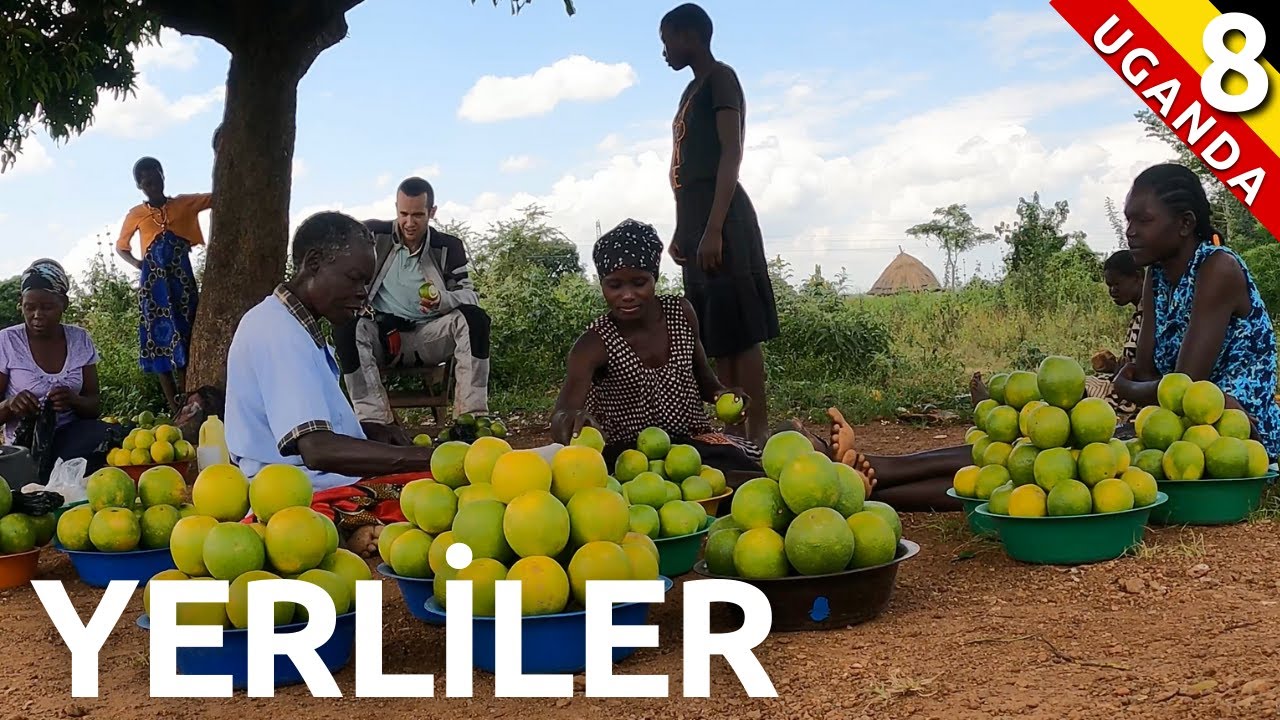 280km, EXTRAORDINARY journey - I experienced it all in one day (Part 8)