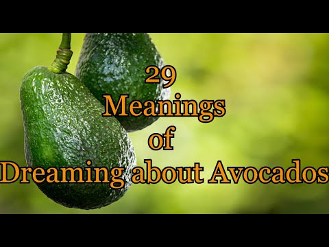 29 meanings of dreaming about avocados