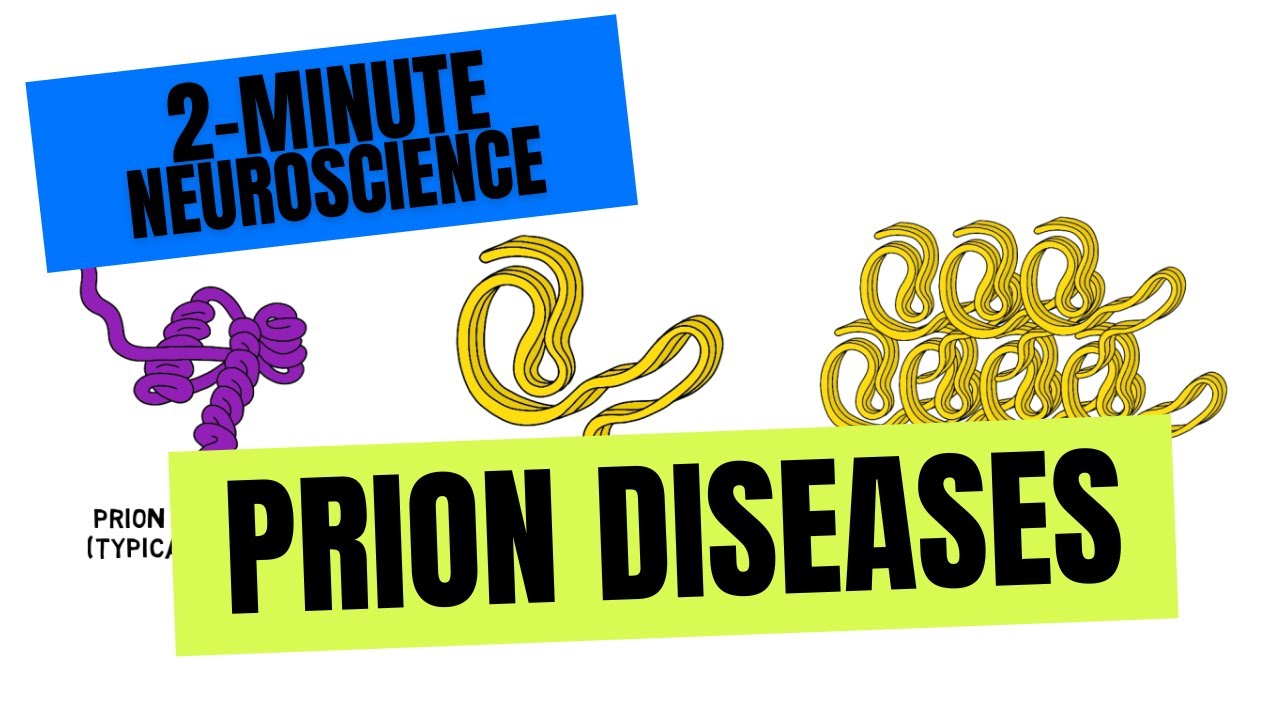 2-Minute Neuroscience: Prion Diseases